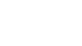 Levis Logo