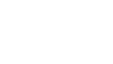 Techint Logo